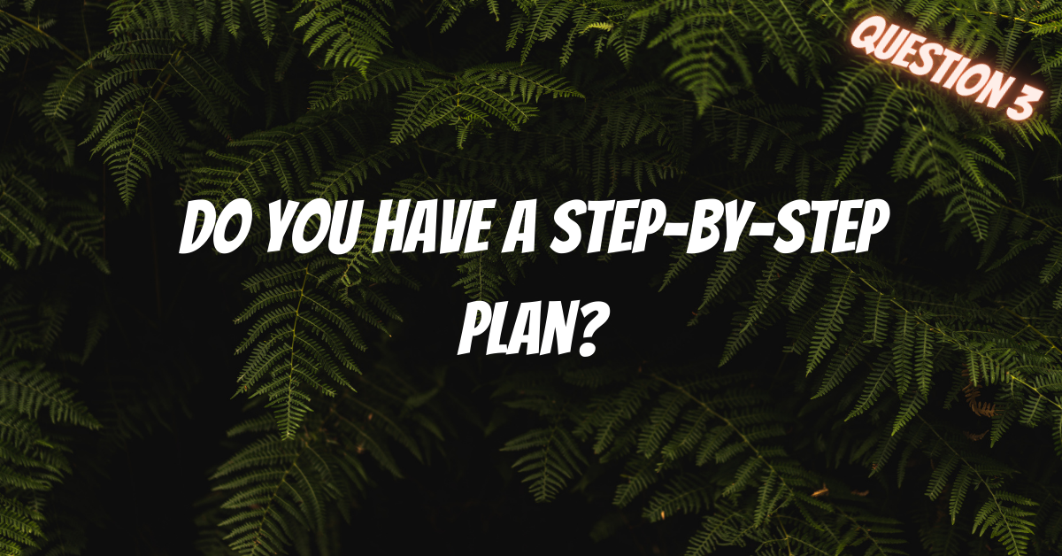 Do You Have A Step-By-Step Plan, in2vortex, free quiz