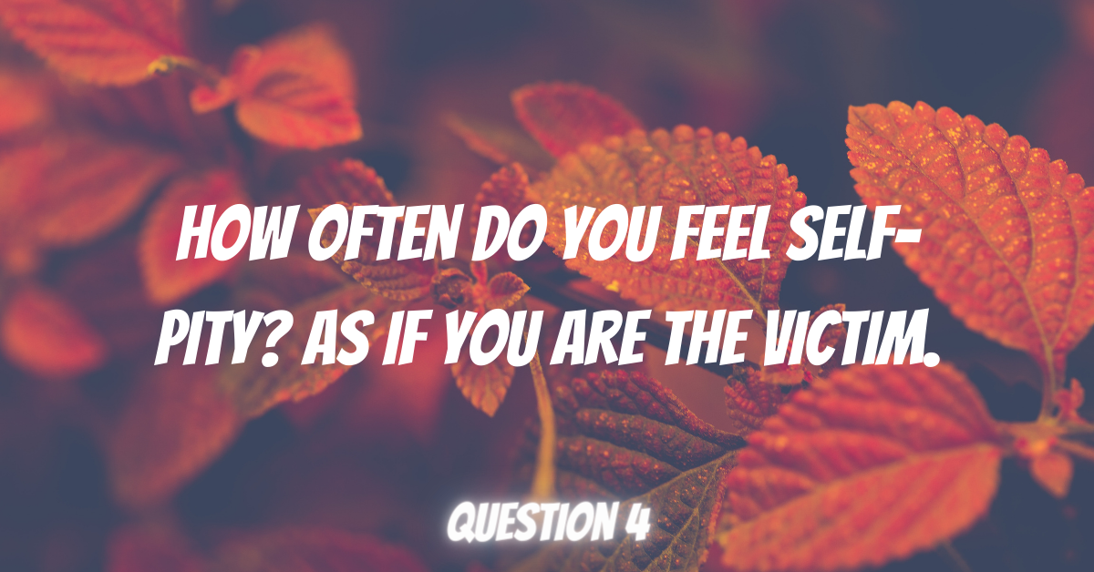 How often do you feel self-pity As if you are the victim., free loa quiz